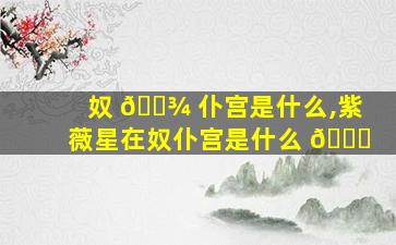奴 🌾 仆宫是什么,紫薇星在奴仆宫是什么 🐎